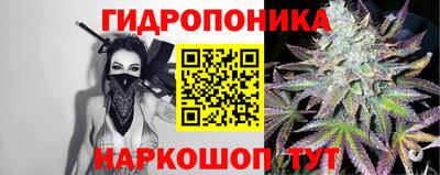 эйфоретик Берёзовский